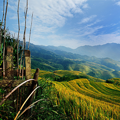 官方網站全新改版上線