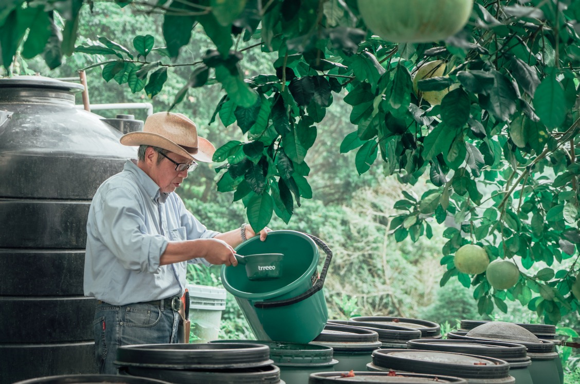 油甘果以酵道自然農法種植在苗栗的純淨農場